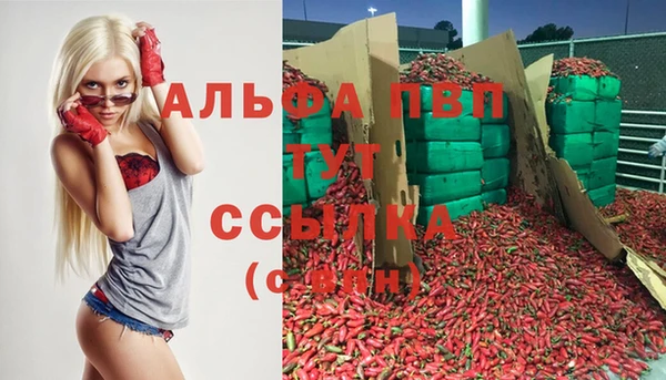 СК Абдулино
