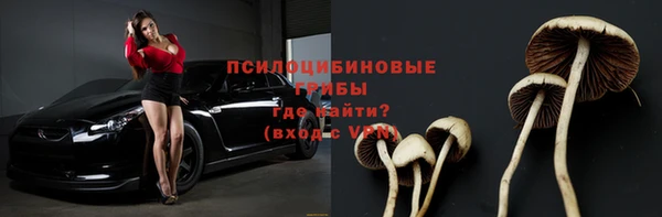 мет Абаза