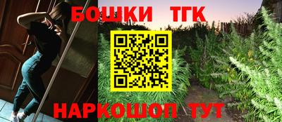 бошки Камышлов