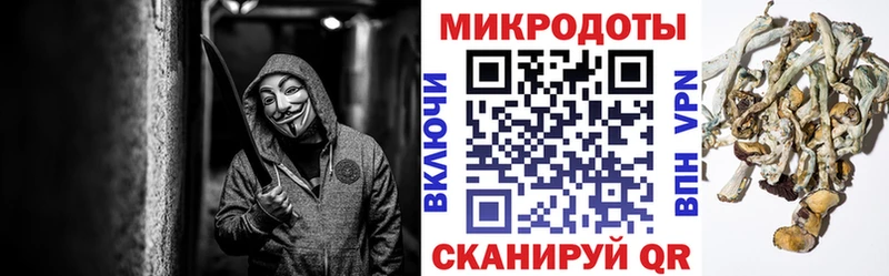 Галлюциногенные грибы прущие грибы  где продают   Туапсе 