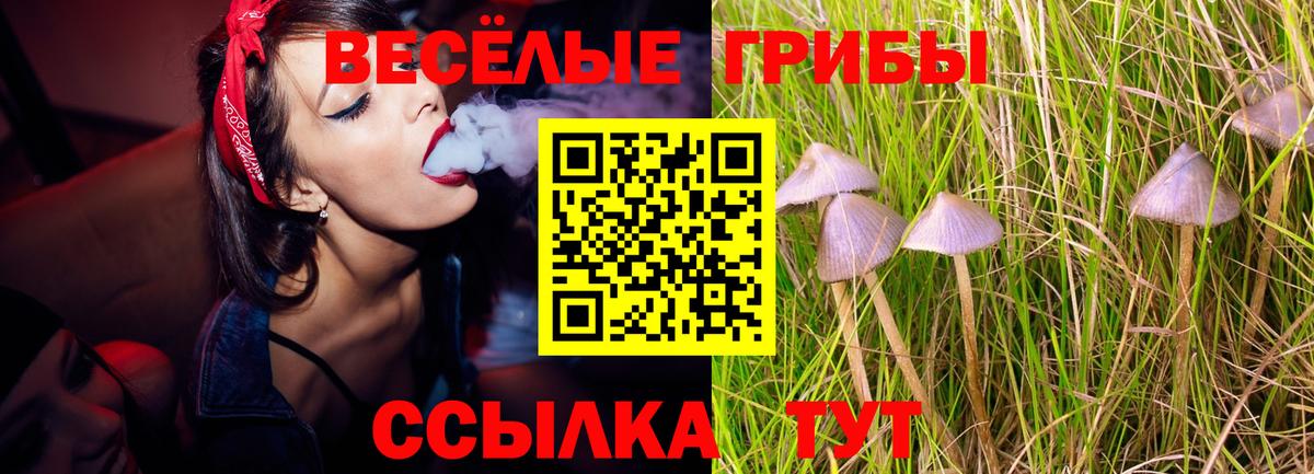 Псилоцибиновые грибы ЛСД  Вход с VPN  где найти наркотики  Туапсе 