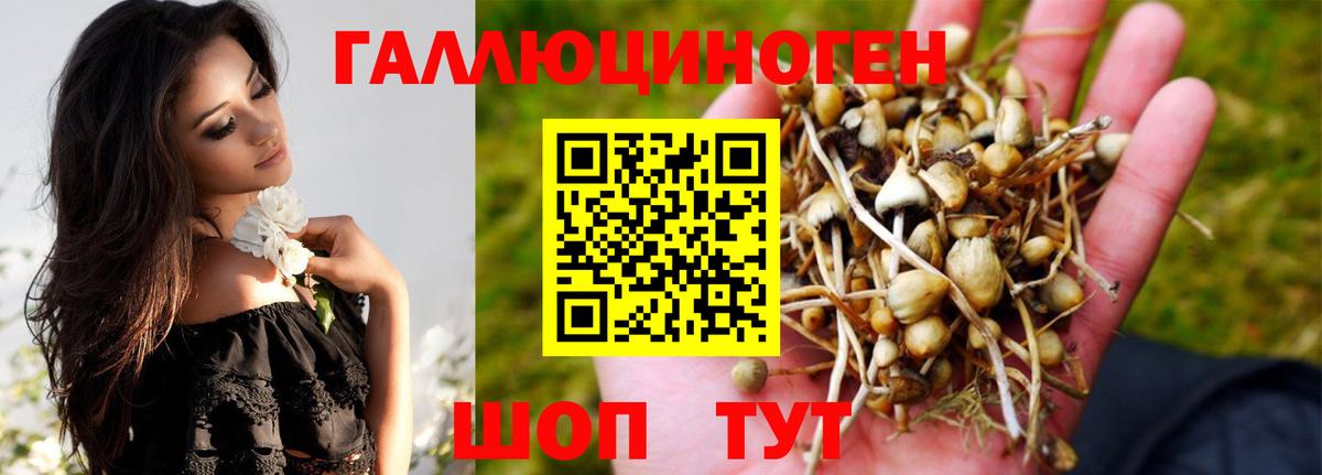 Галлюциногенные грибы ЛСД Туапсе